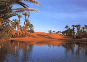 La vallée du Drâa